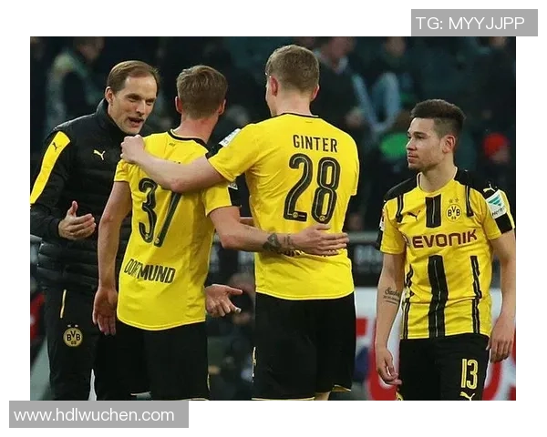 科隆与霍芬海姆对决前瞻分析及最新赛事动态解读 科隆与霍芬海姆对决前瞻分析及最新赛事动态解读